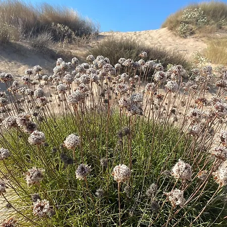 Casa Panoramica E Tranquilla * Сан-Паскуале