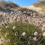 Casa San Pasquale, Windsurf E Natura, Panorama Mozzafiato * סן פסקואלה