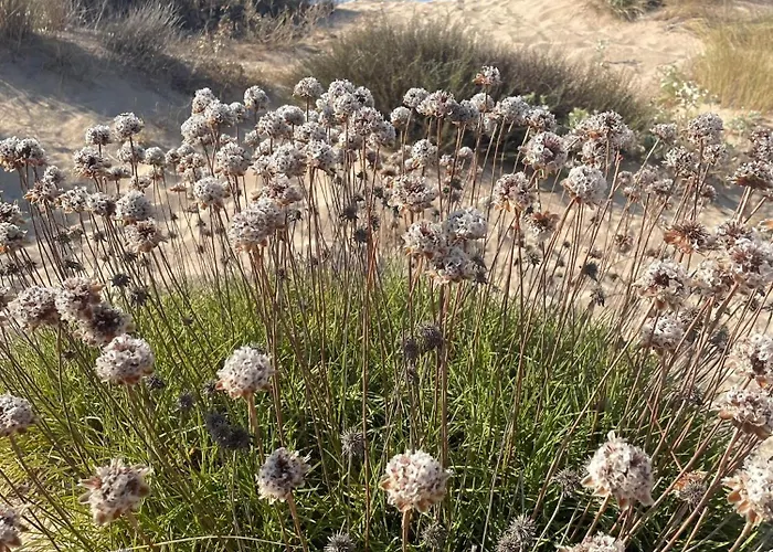 Casa San Pasquale, Casa Panoramica Immersa Nella Tranquillità * San Pasquale